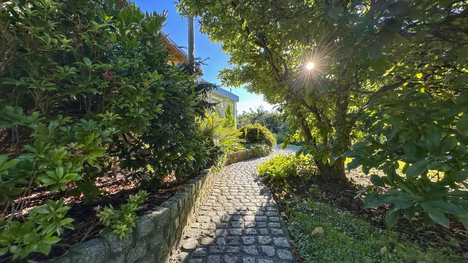 Vogel-Jardins en été