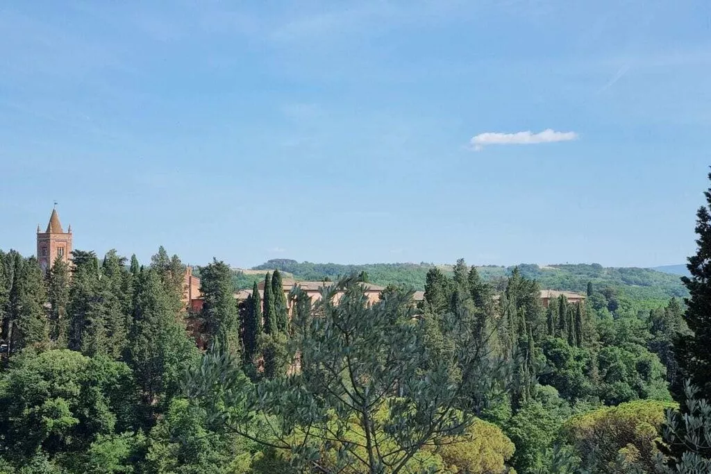 539353-Nicht zugeordnet