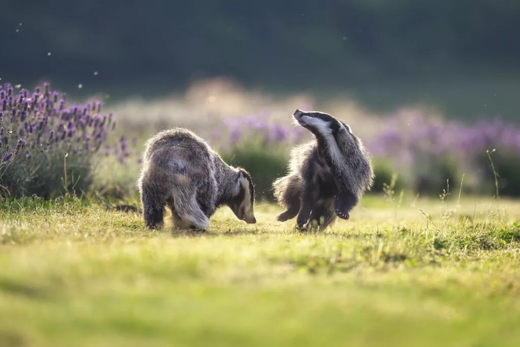 581116-Nicht zugeordnet