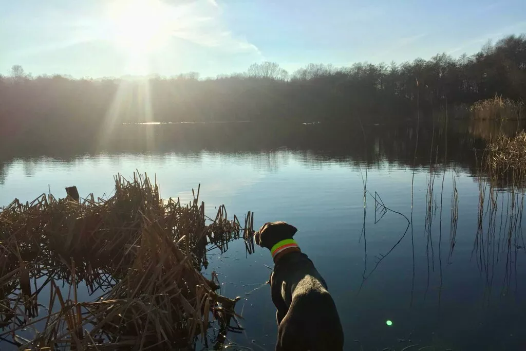 316903-Nicht zugeordnet