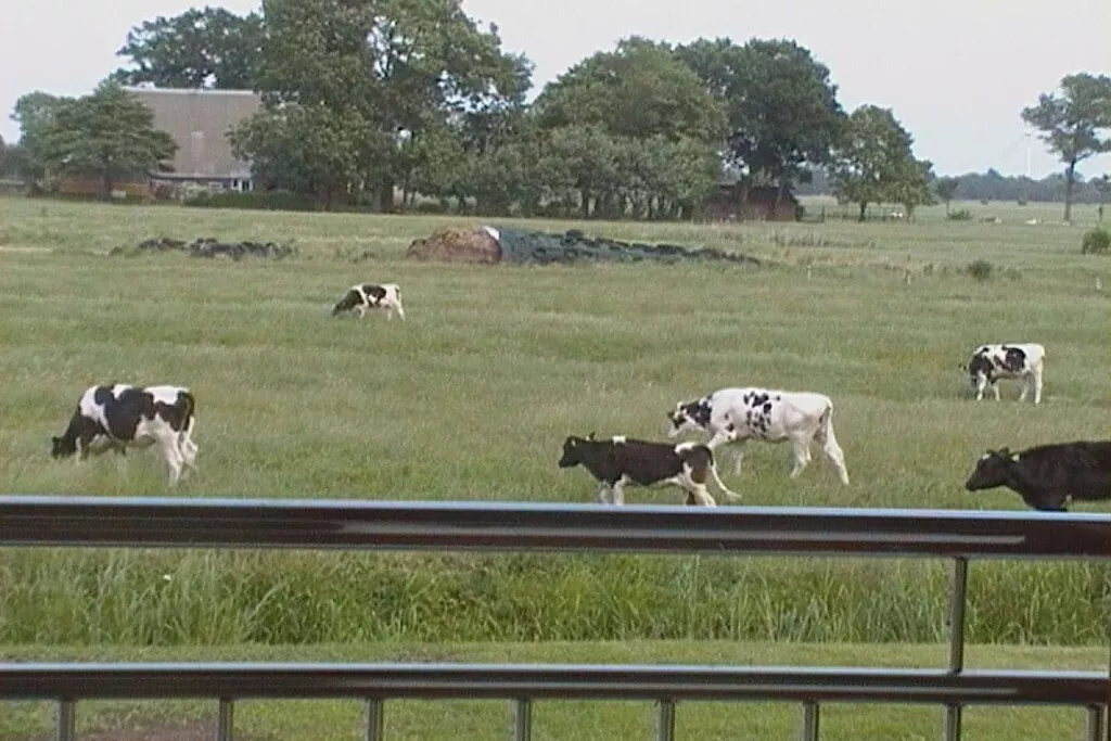 199742-Nicht zugeordnet