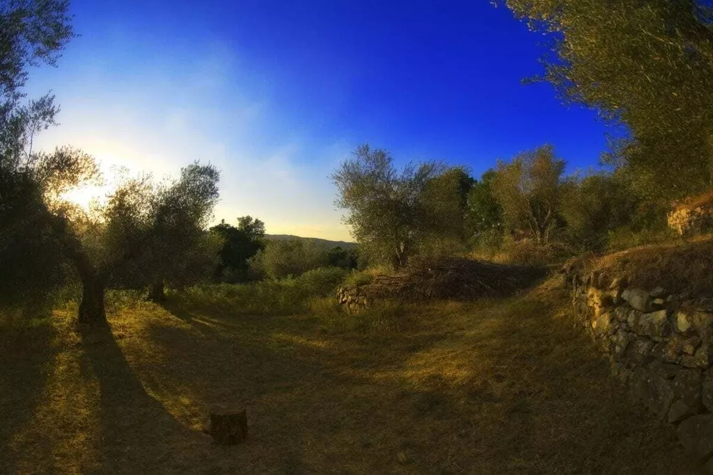 29689-Nicht zugeordnet