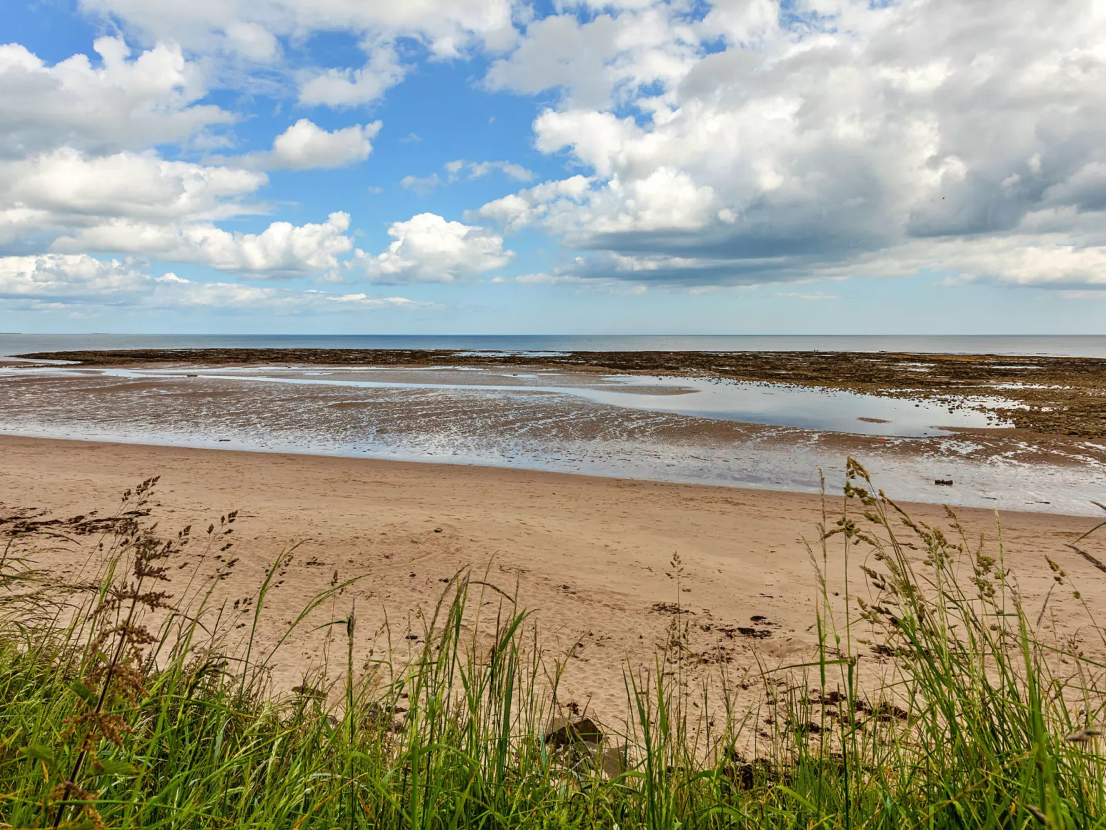 Cresswell House-Dehors