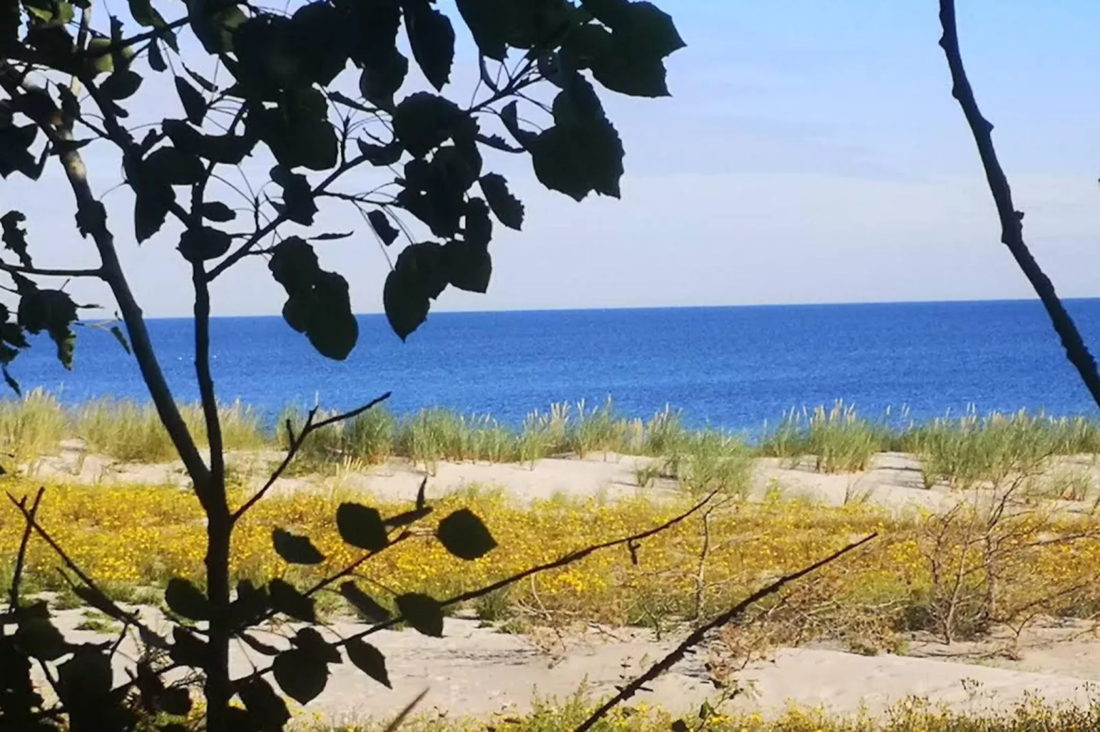 Nr5 - Schwalbennest 5 Personen-Gebiete Sommer 5 km