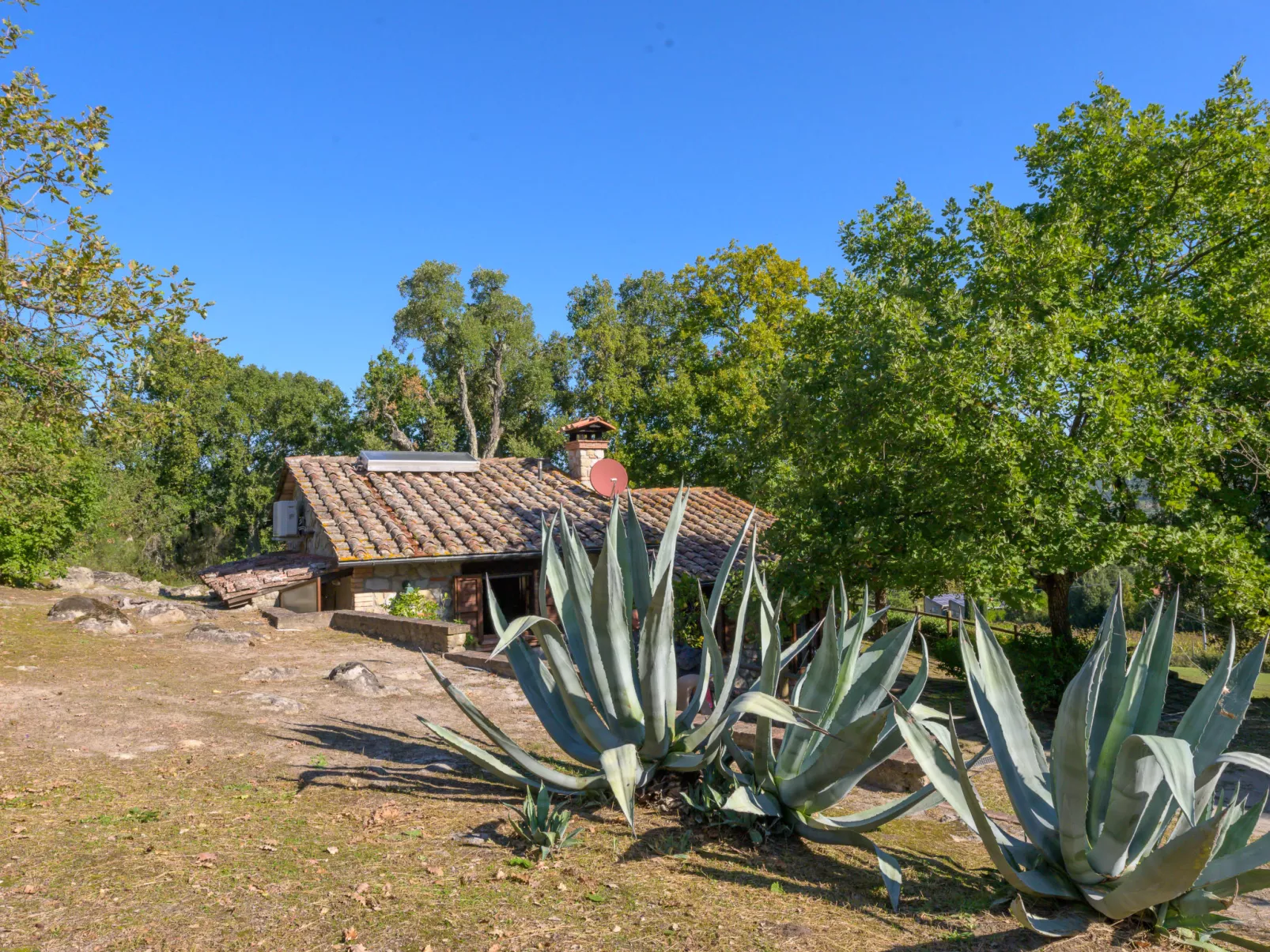 Sottopoggetto-Dehors