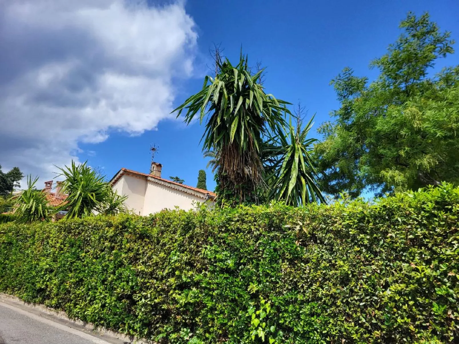 Villa Esmeralda-Outside