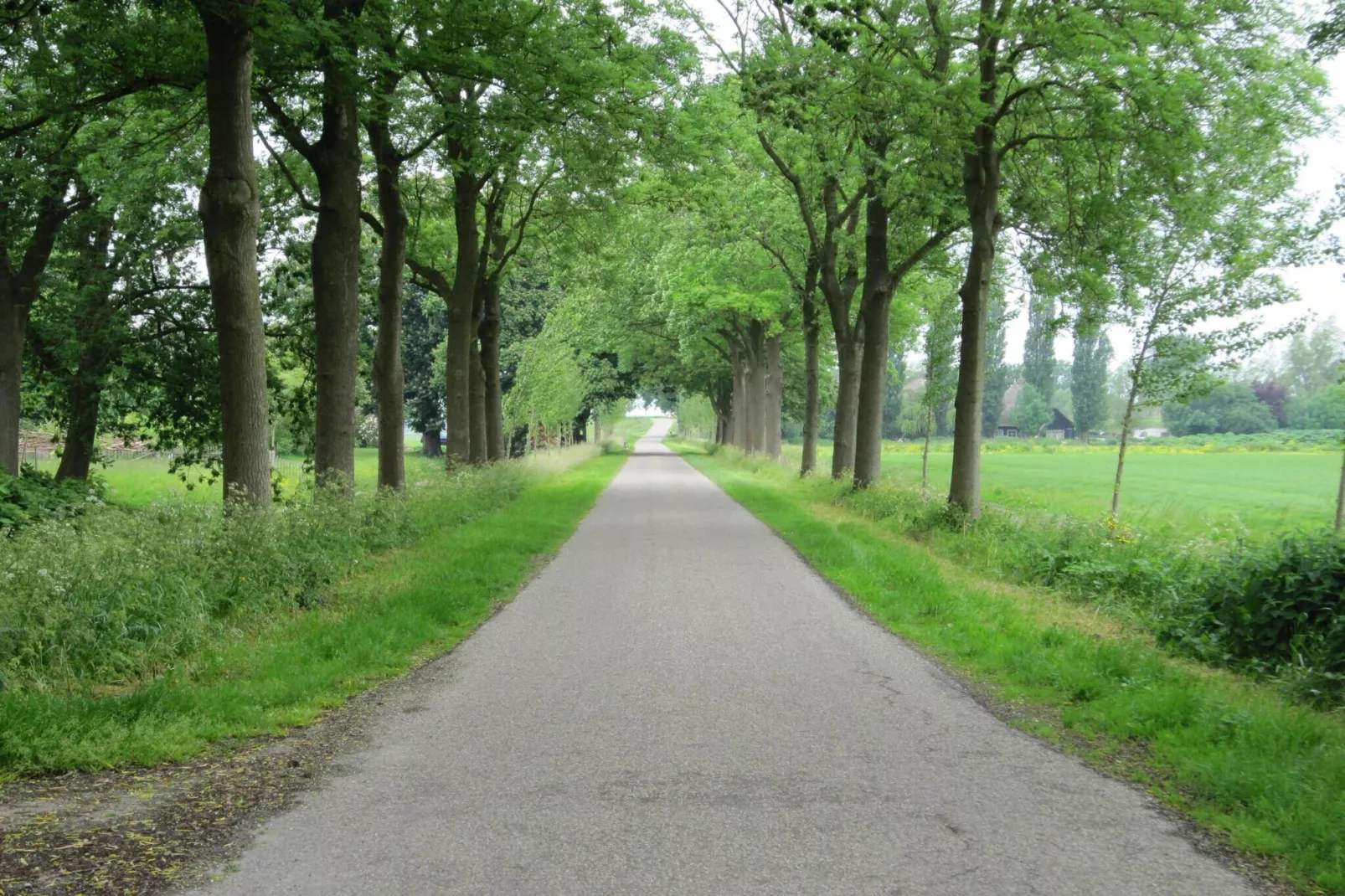 BELLEVUE-Zones été à 1 km