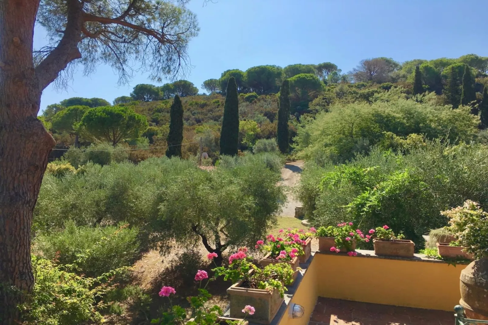 Villa della Fonte-Vue d'été