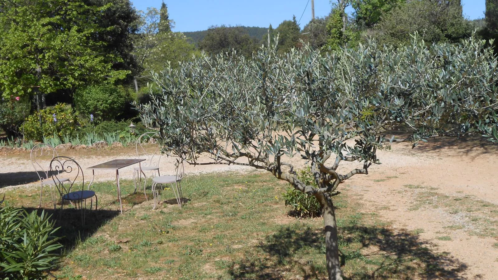 Le clos de la Tuf-Gardens in summer