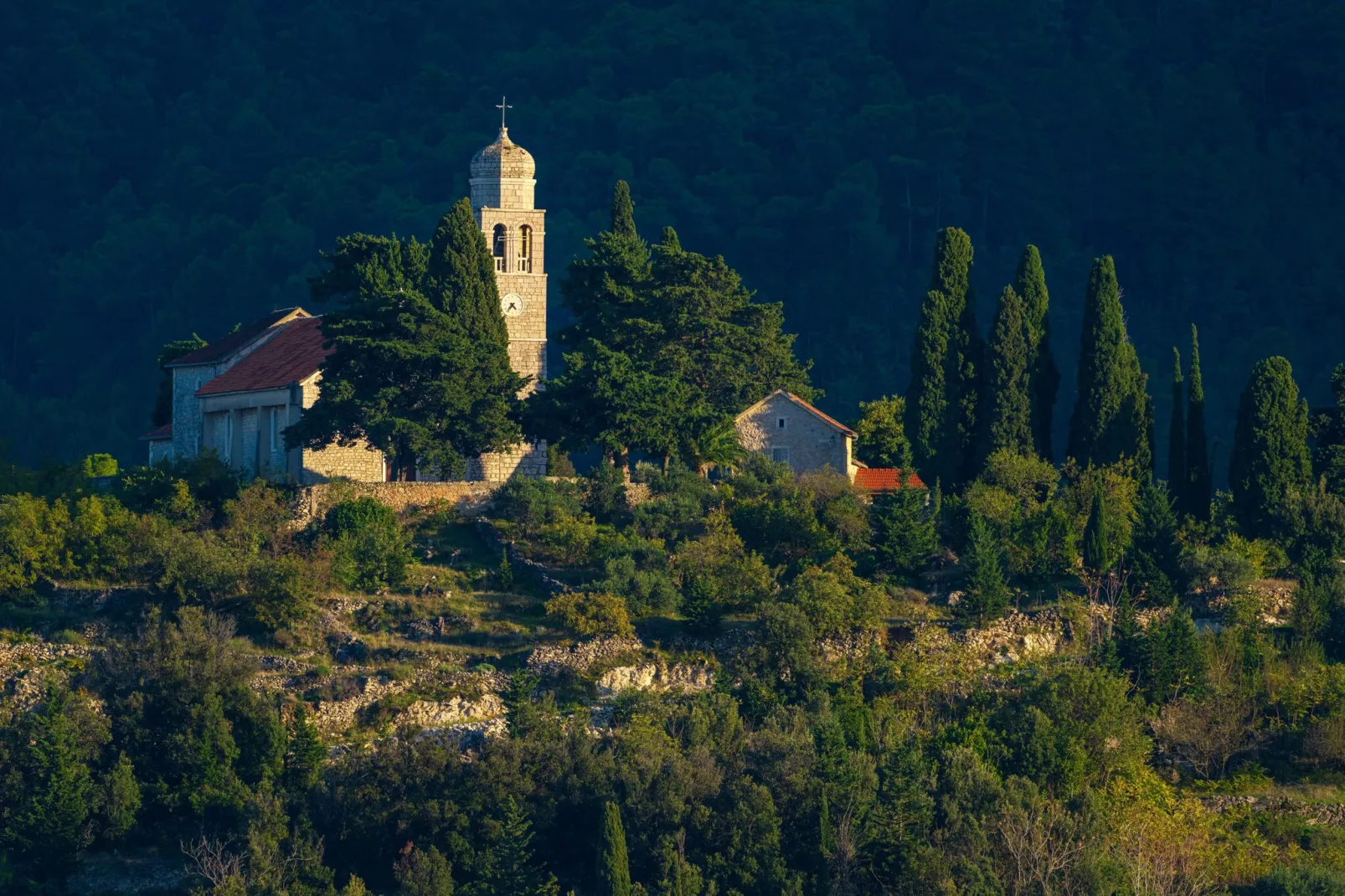 Authentic Villa Fisola-Areas within 1km in summer