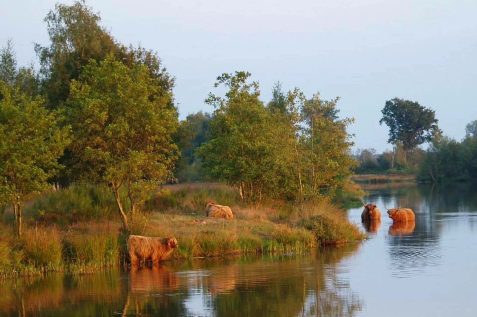 Reestdal lodge | 6 persoons - Gebiete Sommer 5 km