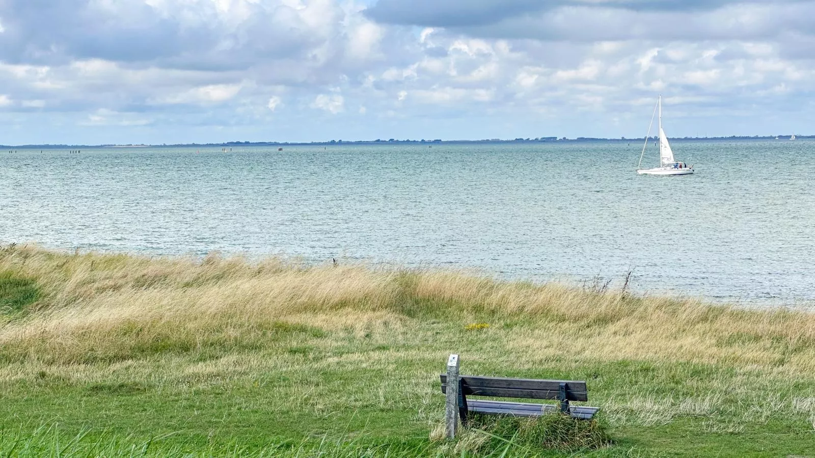 Sauna Zee 27H-Areas within 1km in summer