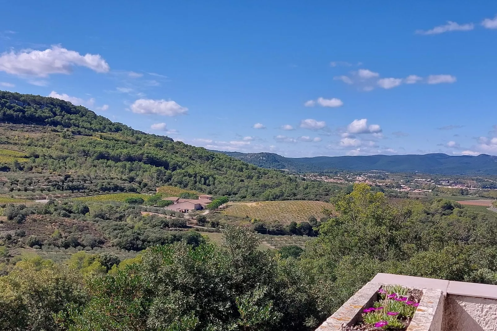 La Garrigue-Vue