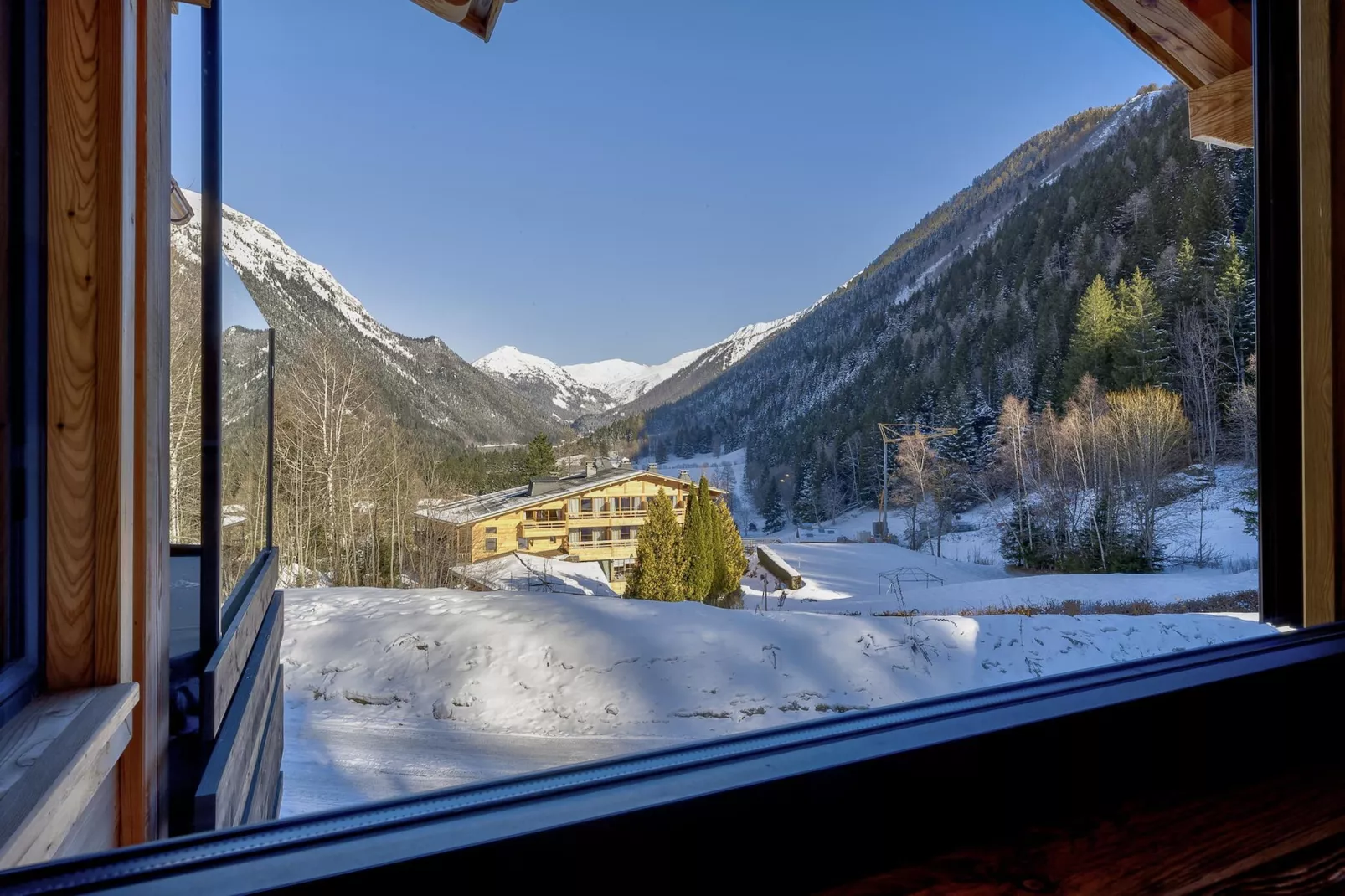 Silver Forest-View in winter