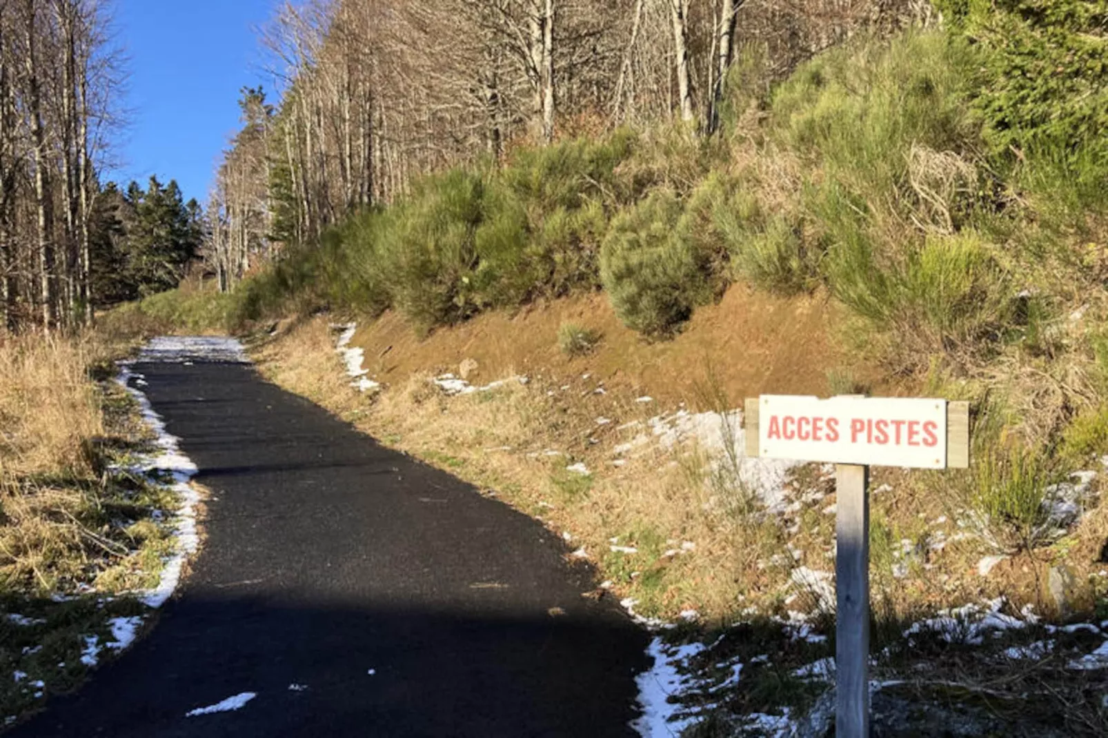 Appartements à Saint Jacques Des Blats-Nicht zugeordnet