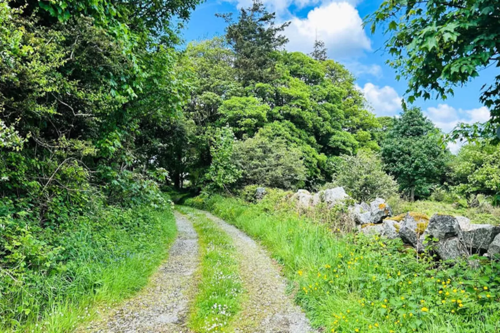 Maison à Rosmuck-Untagged