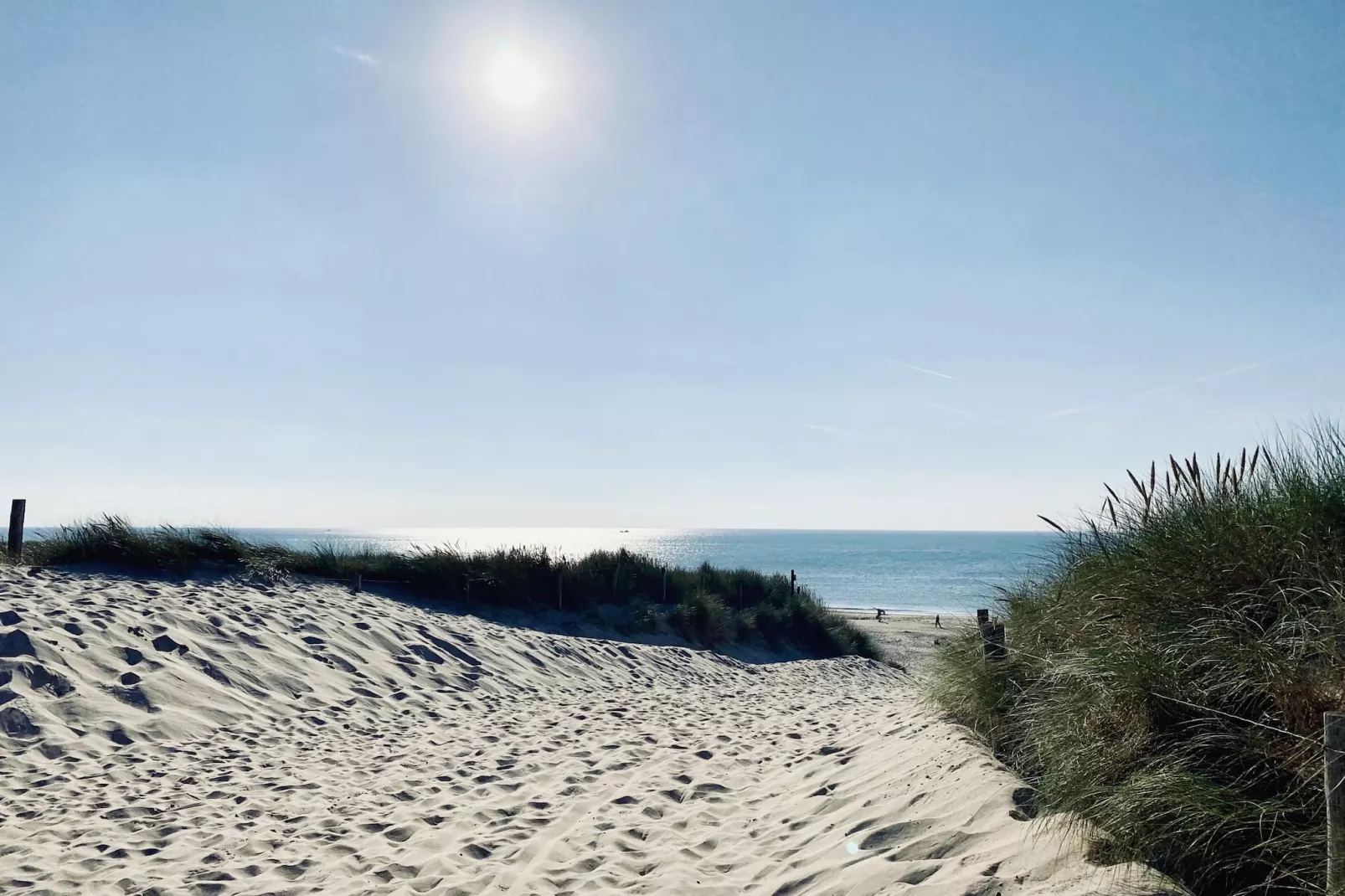 De Biotoop-Areas within 20km in summer