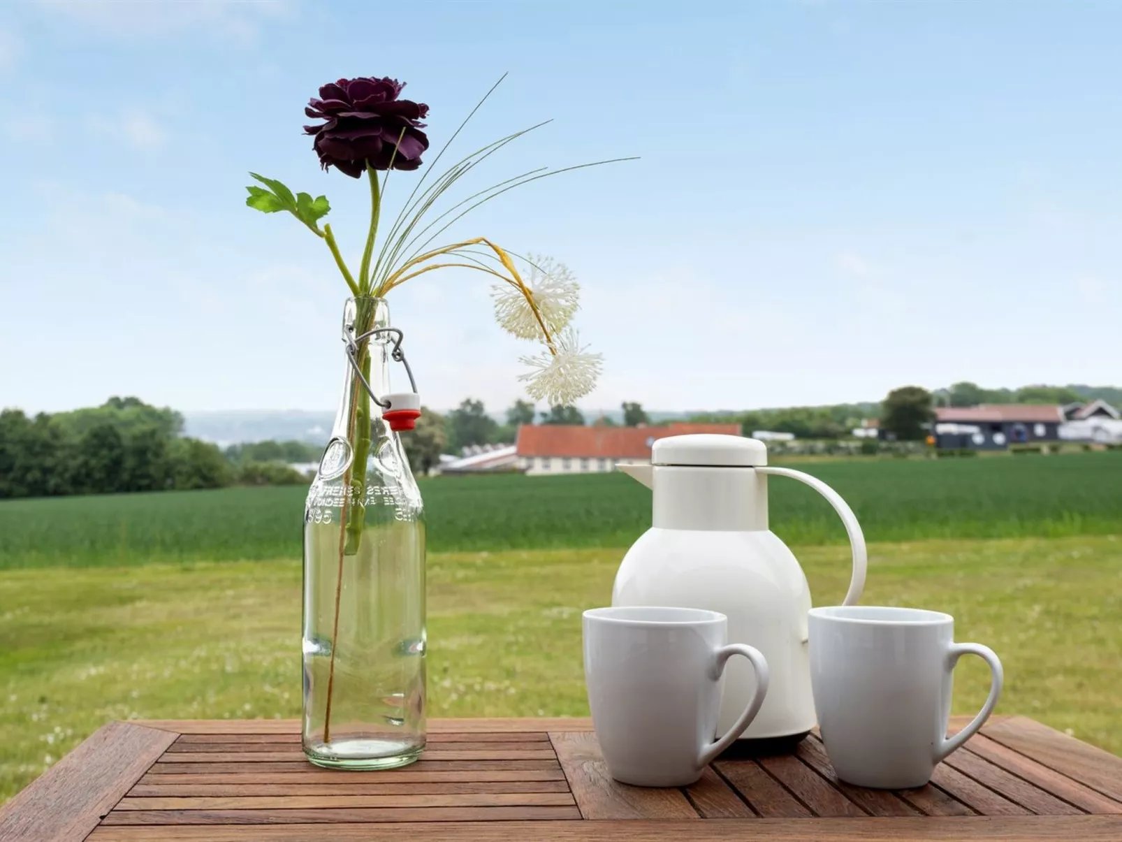 "Roger" - 400m from the sea-Outside