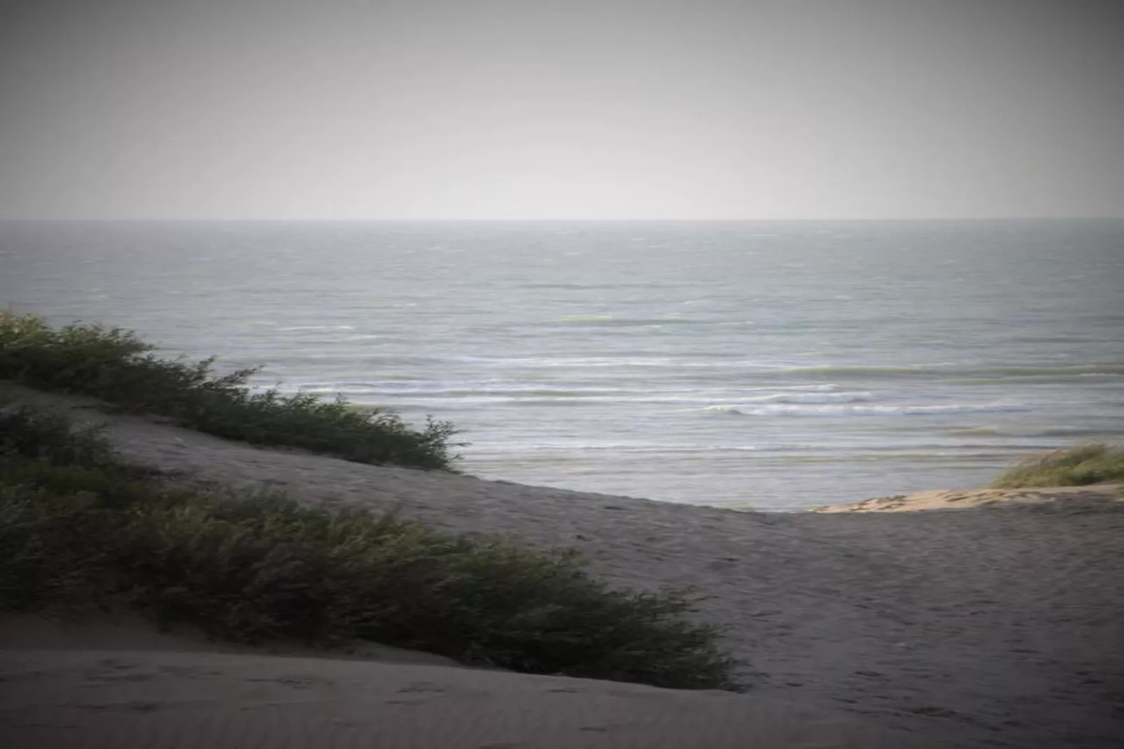 Manderley 0304-Areas within 20km in summer