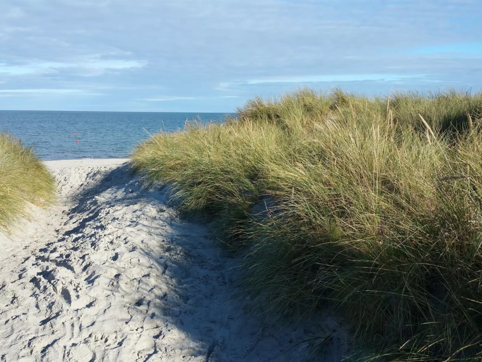 "Grep" - 800m from the sea-Draußen