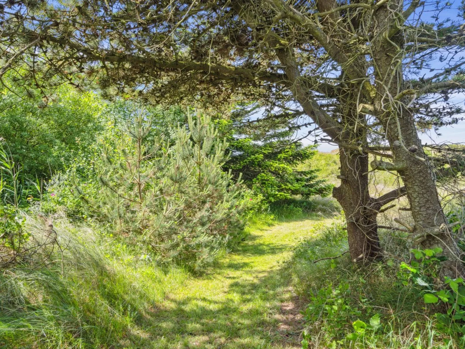 "Hunlef" - 1.7km from the sea-Outside