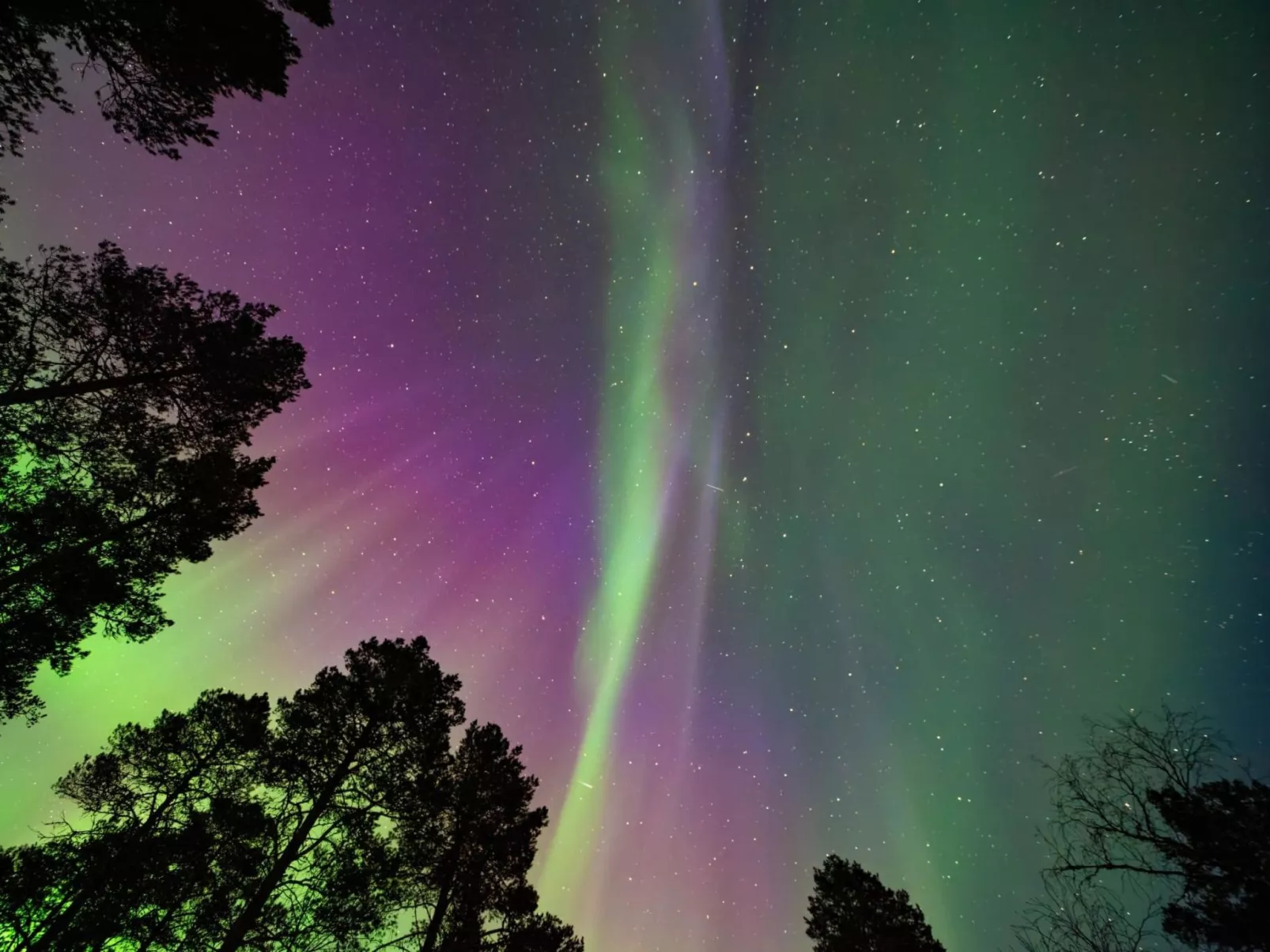 Peurankuoppa-Drinnen