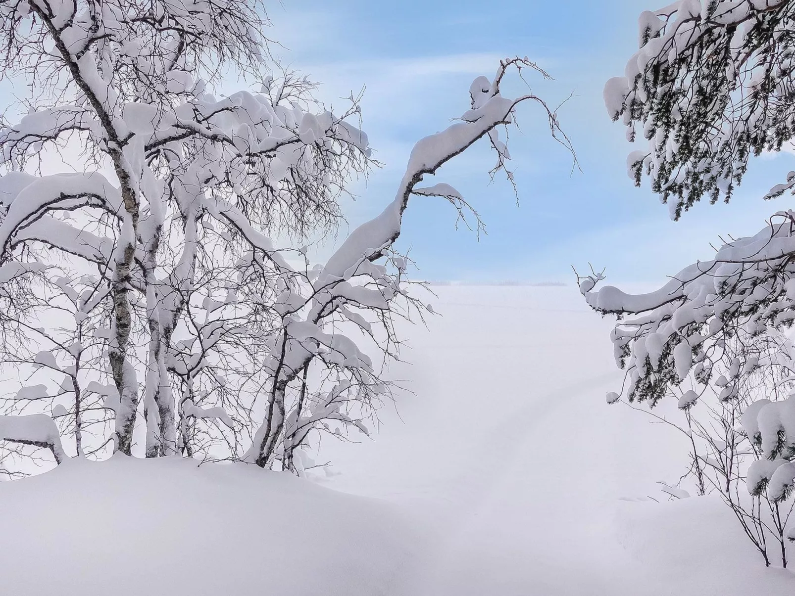 Lappi dream house-Inside