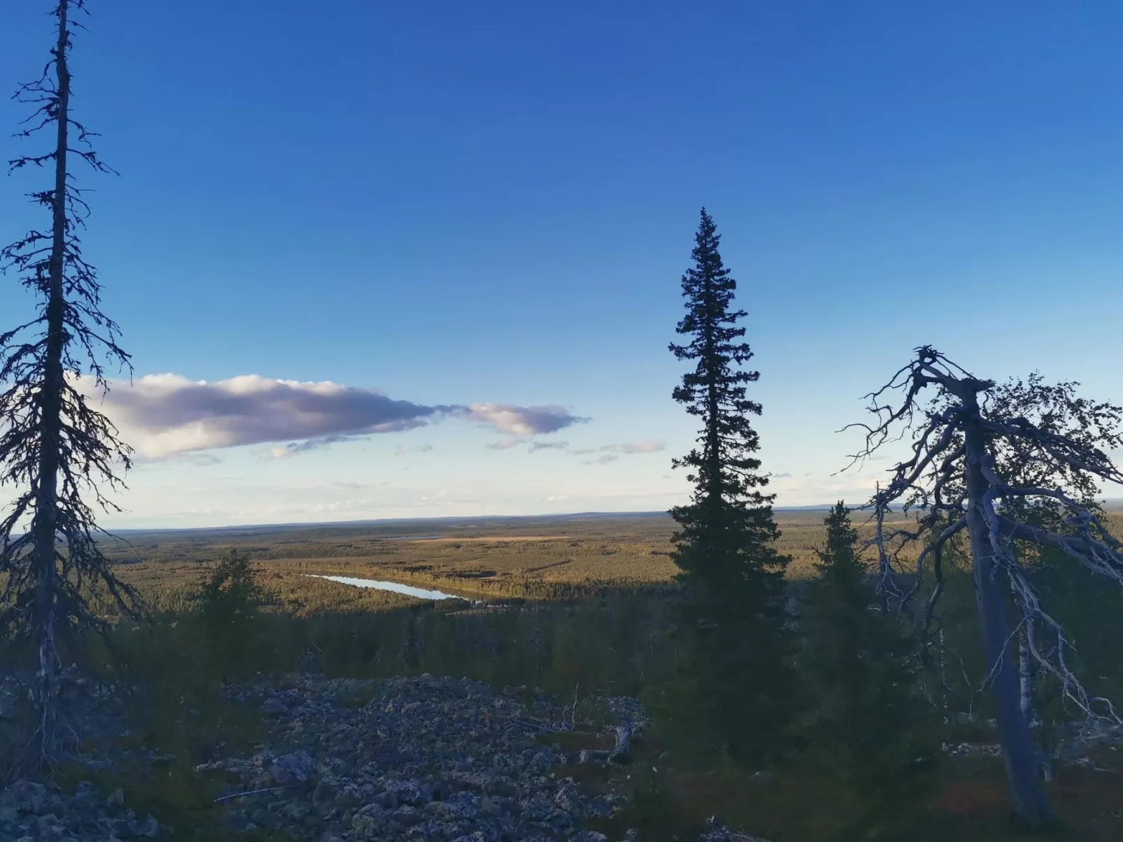 Levi secret igloo revontuli 10d-Inside