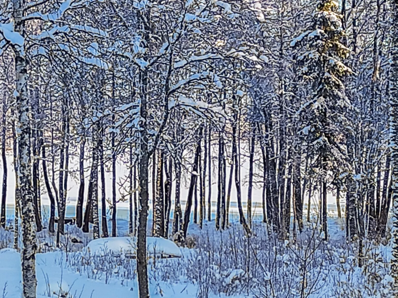Annelinniemi-Drinnen