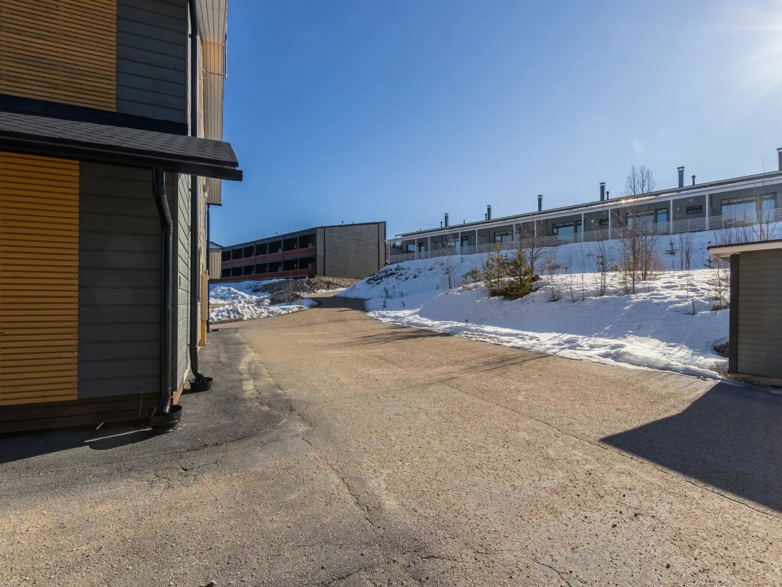 Hallan karhu b, paritalo-Inside