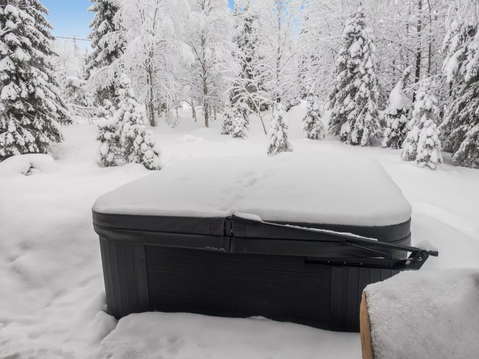 Ruka-rokova 2-Dedans