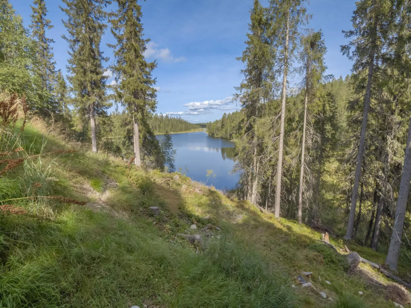 Villa ukkometso-Dedans