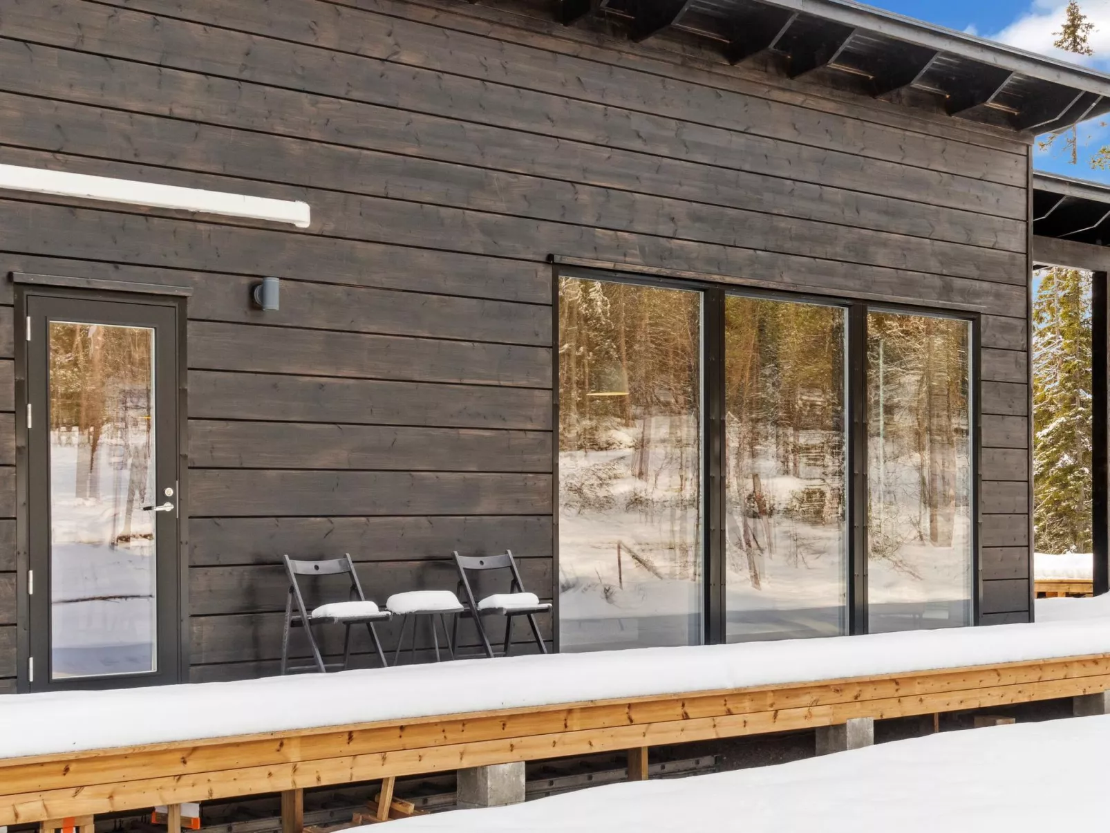 Sallan kuukkeli-Dedans