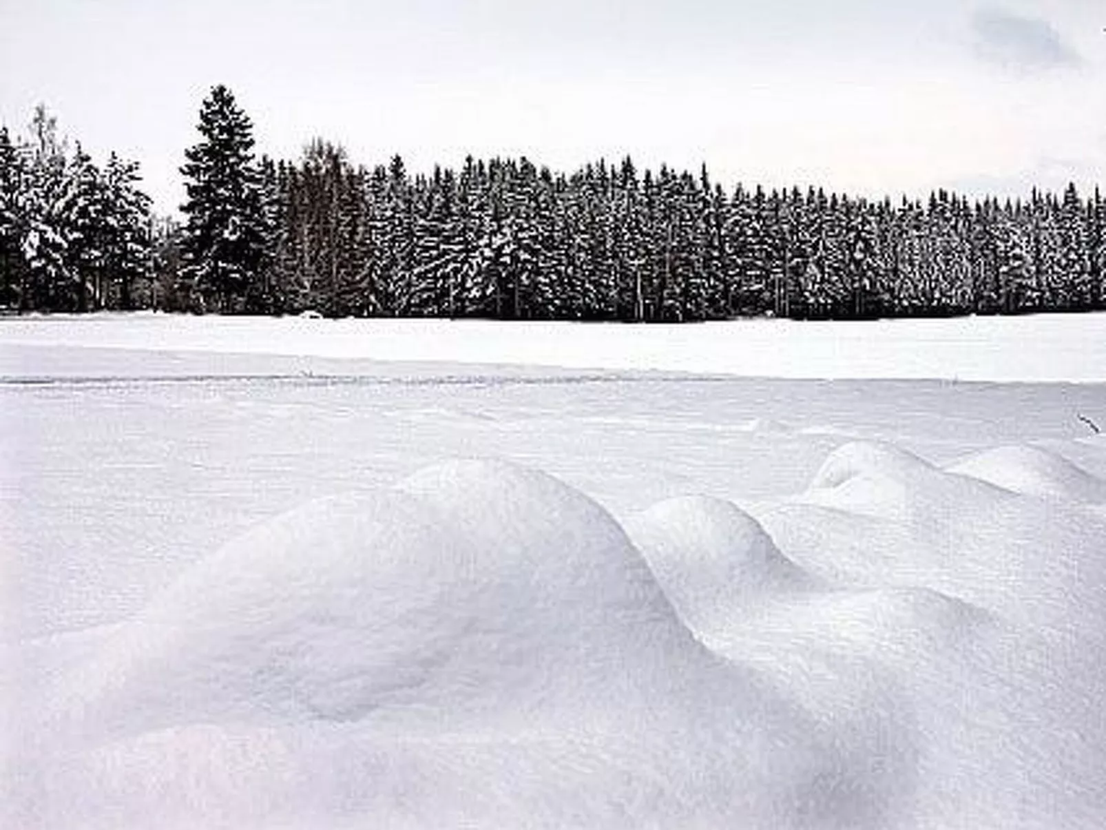 Kopinkallio 2-Dedans