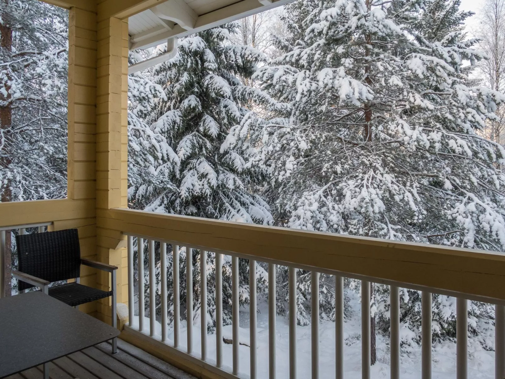 Vaarapirtti / tähti-Dedans