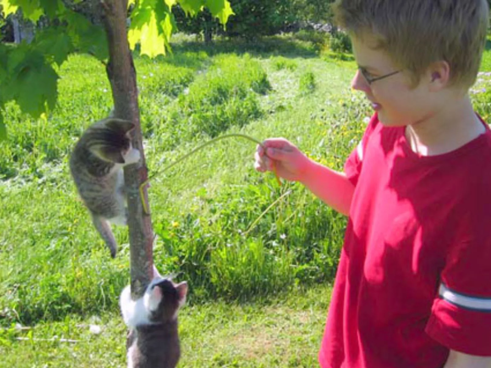 Vaaran loma-asunto-Dedans