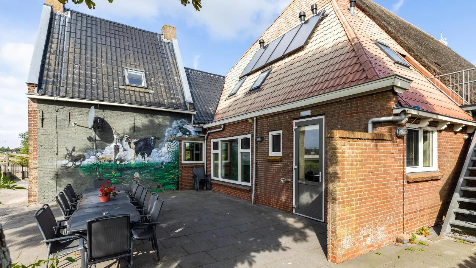 Groep in Friesland-Exterior in summer