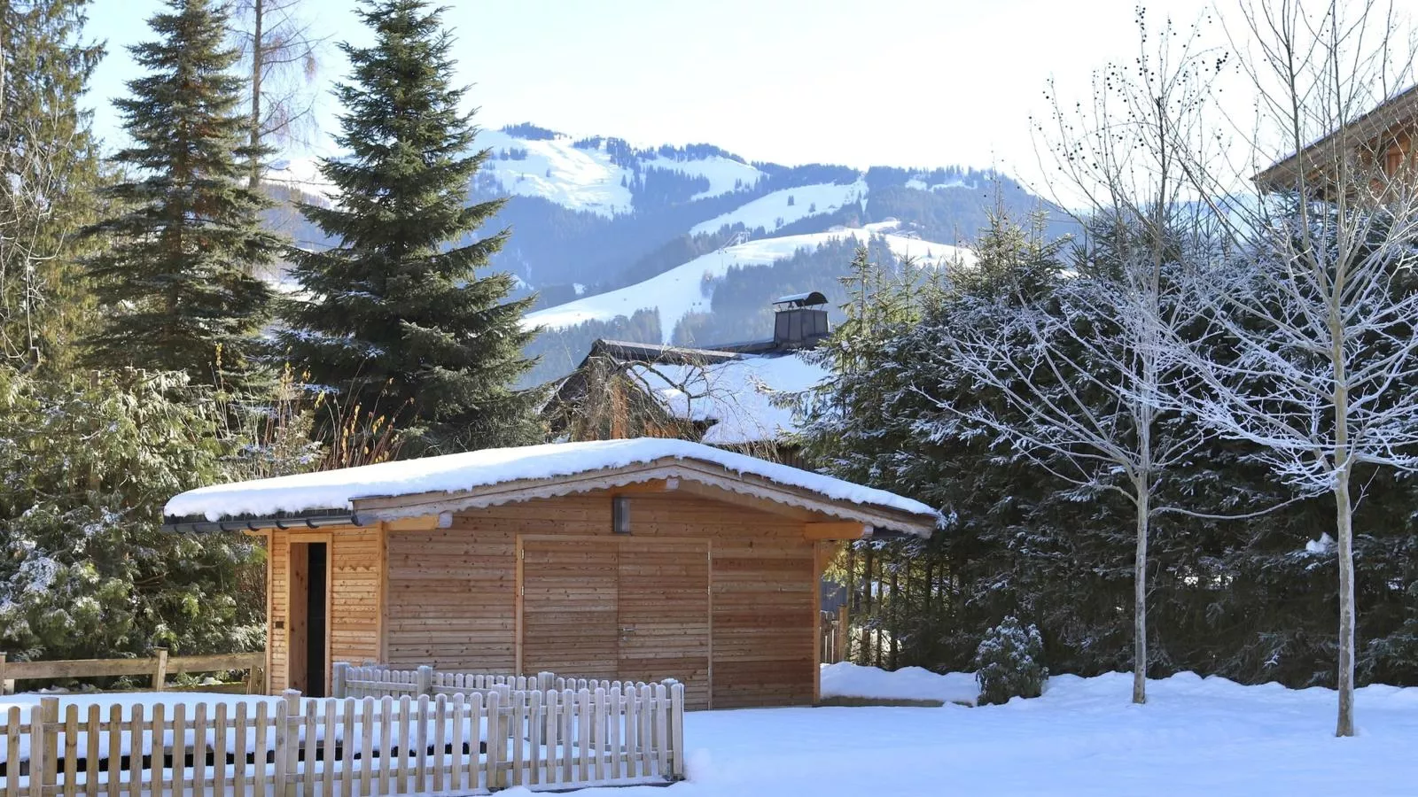 Luxury Central Kirchberg-Garten Winter