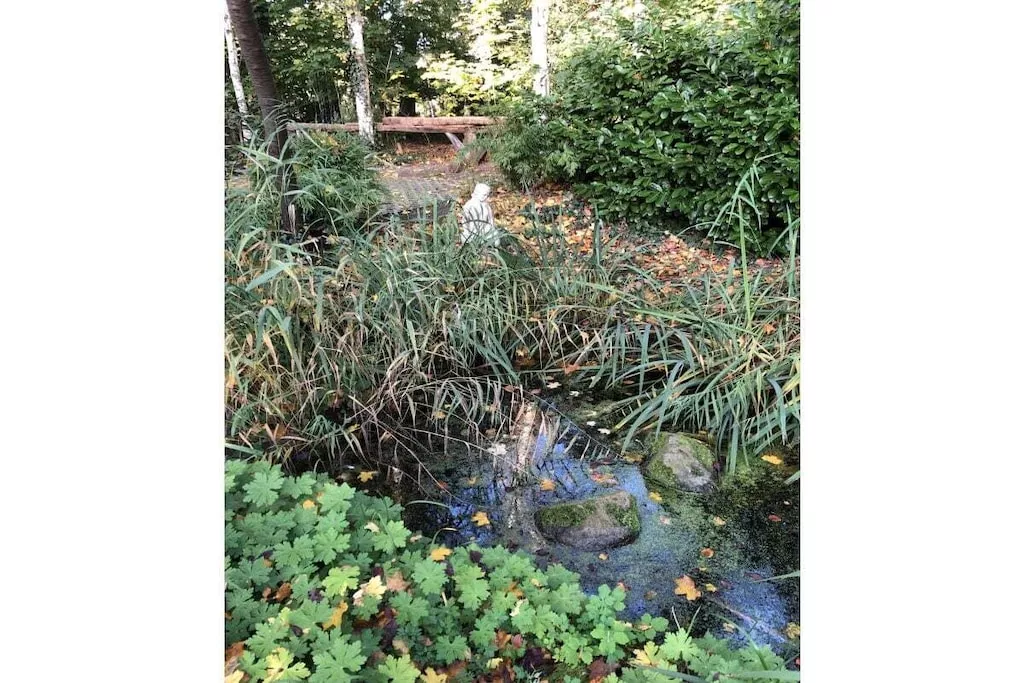 441274-Nicht zugeordnet