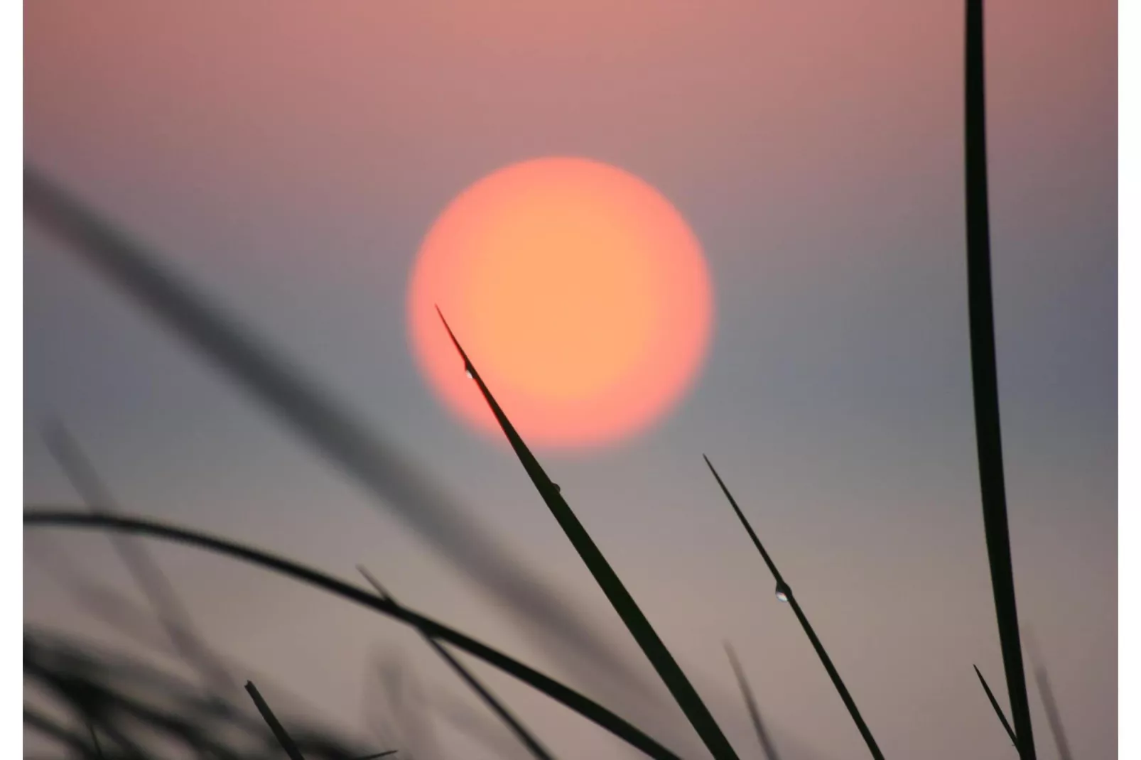 Ferienhaus Hilligenlei