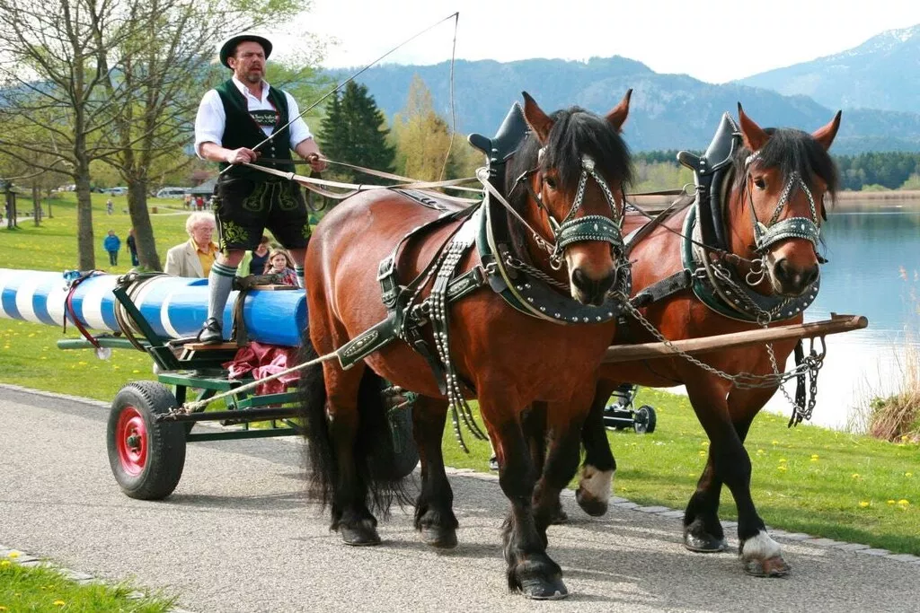59980-Nicht zugeordnet