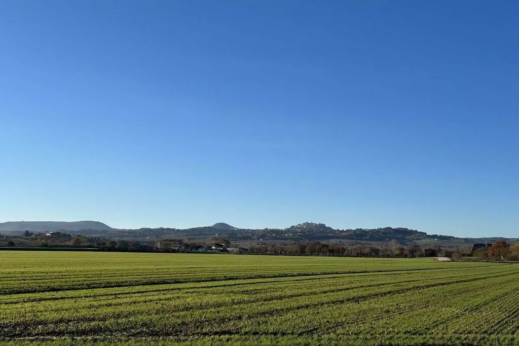 539353-Nicht zugeordnet