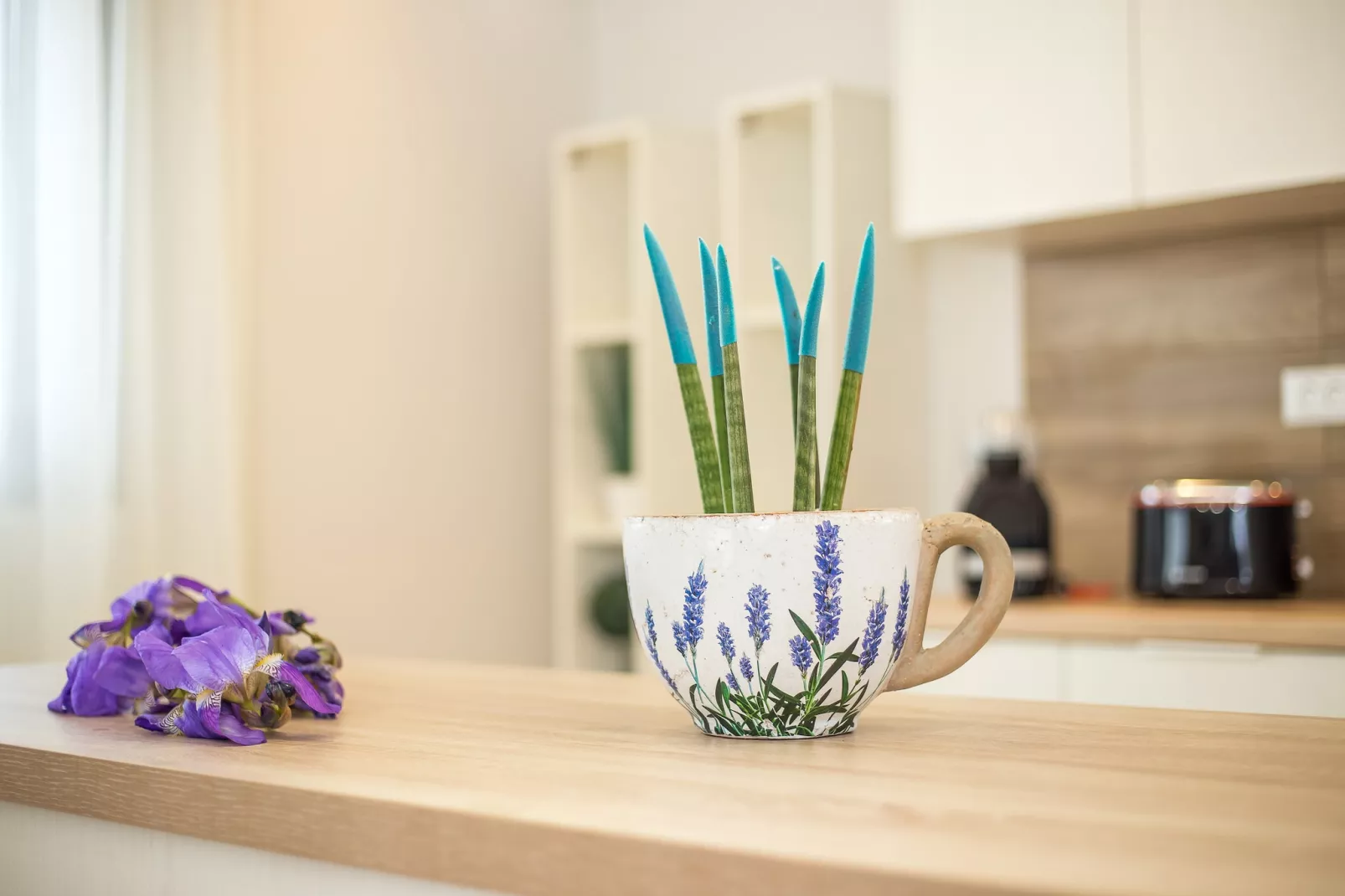 The Sisters Villa-Ambiance