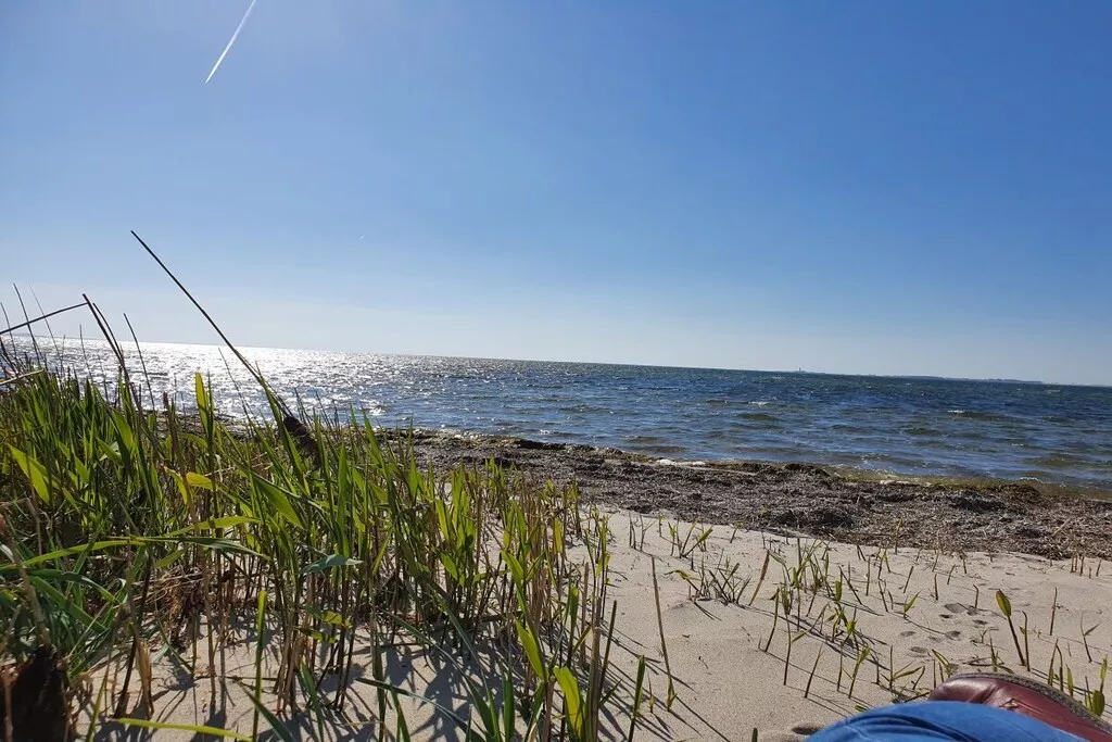 342317-Nicht zugeordnet