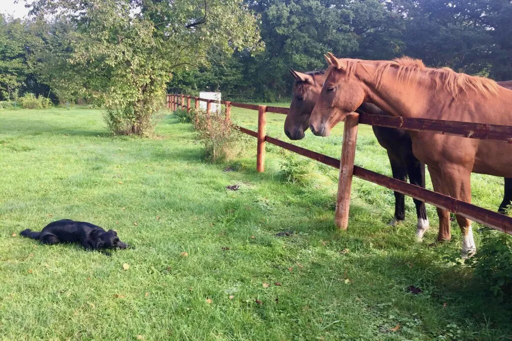 316903-Nicht zugeordnet