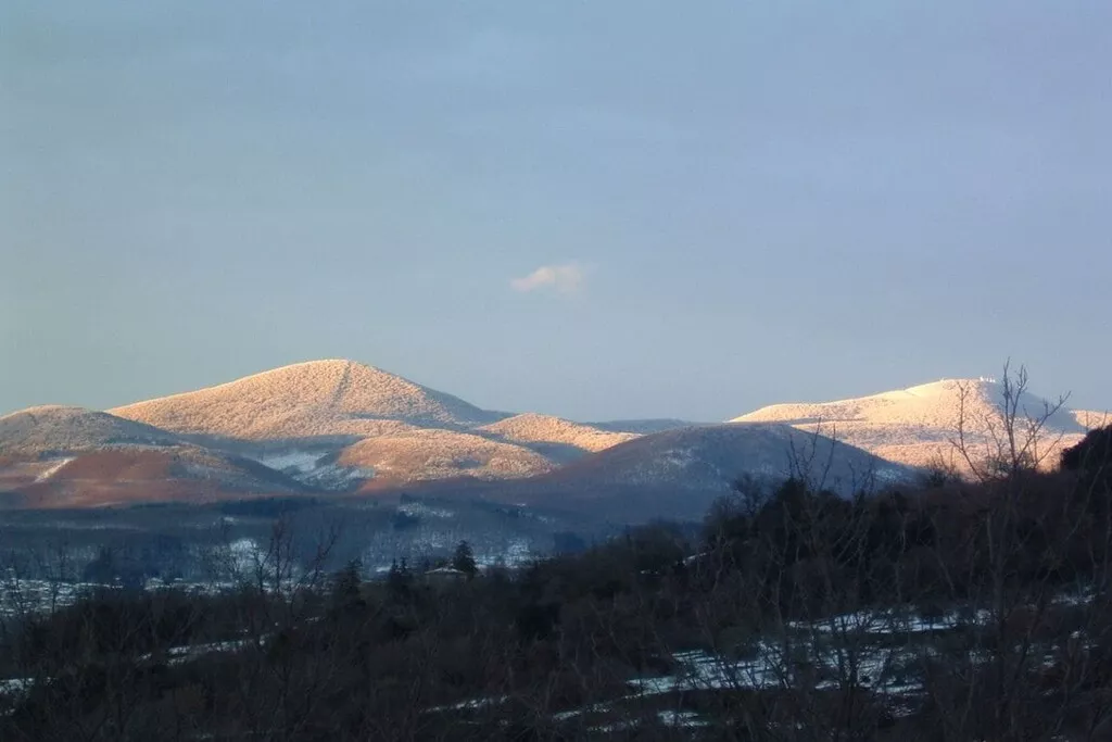 29689-Nicht zugeordnet