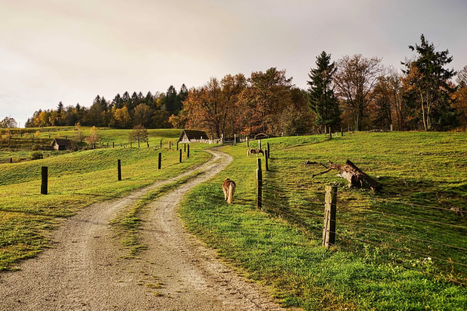 Visnja Gora Meadow Hideaway with Terrace - One Bedroom Cottage with Terrace (owner Hiška na skalci)-Im Freien