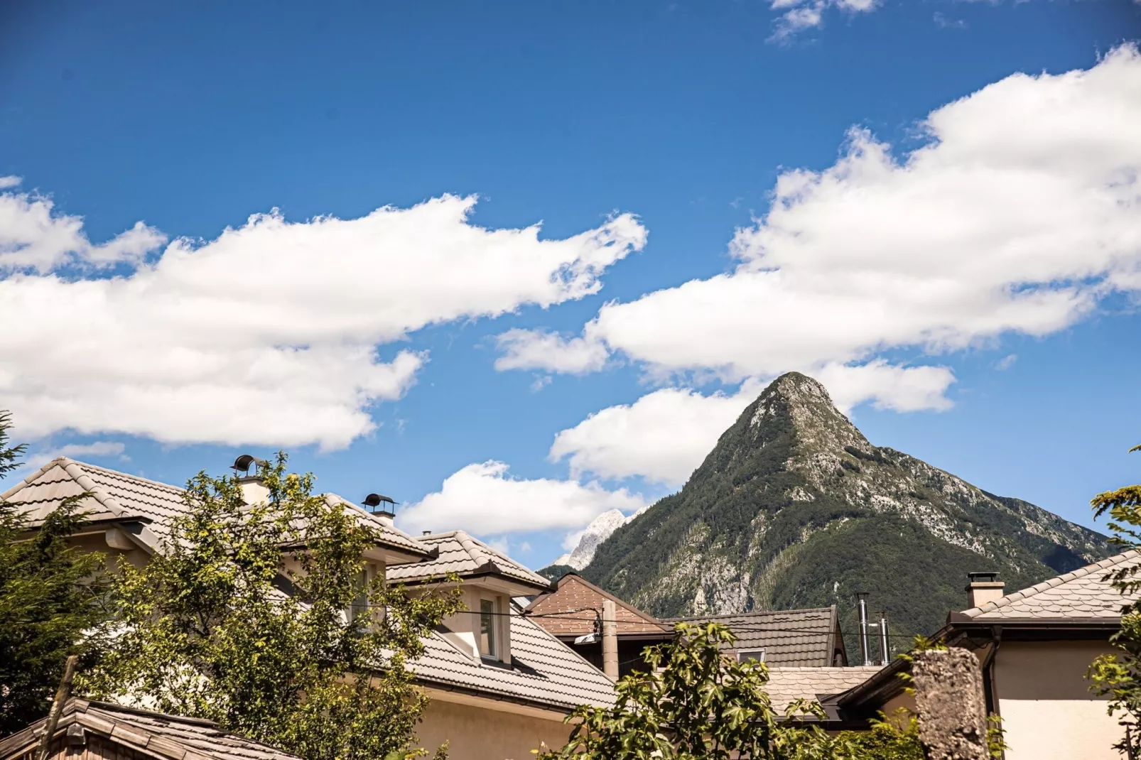 Mountain View Haven Apartments - One Bedroom Apartment  with Balcony-Aussicht