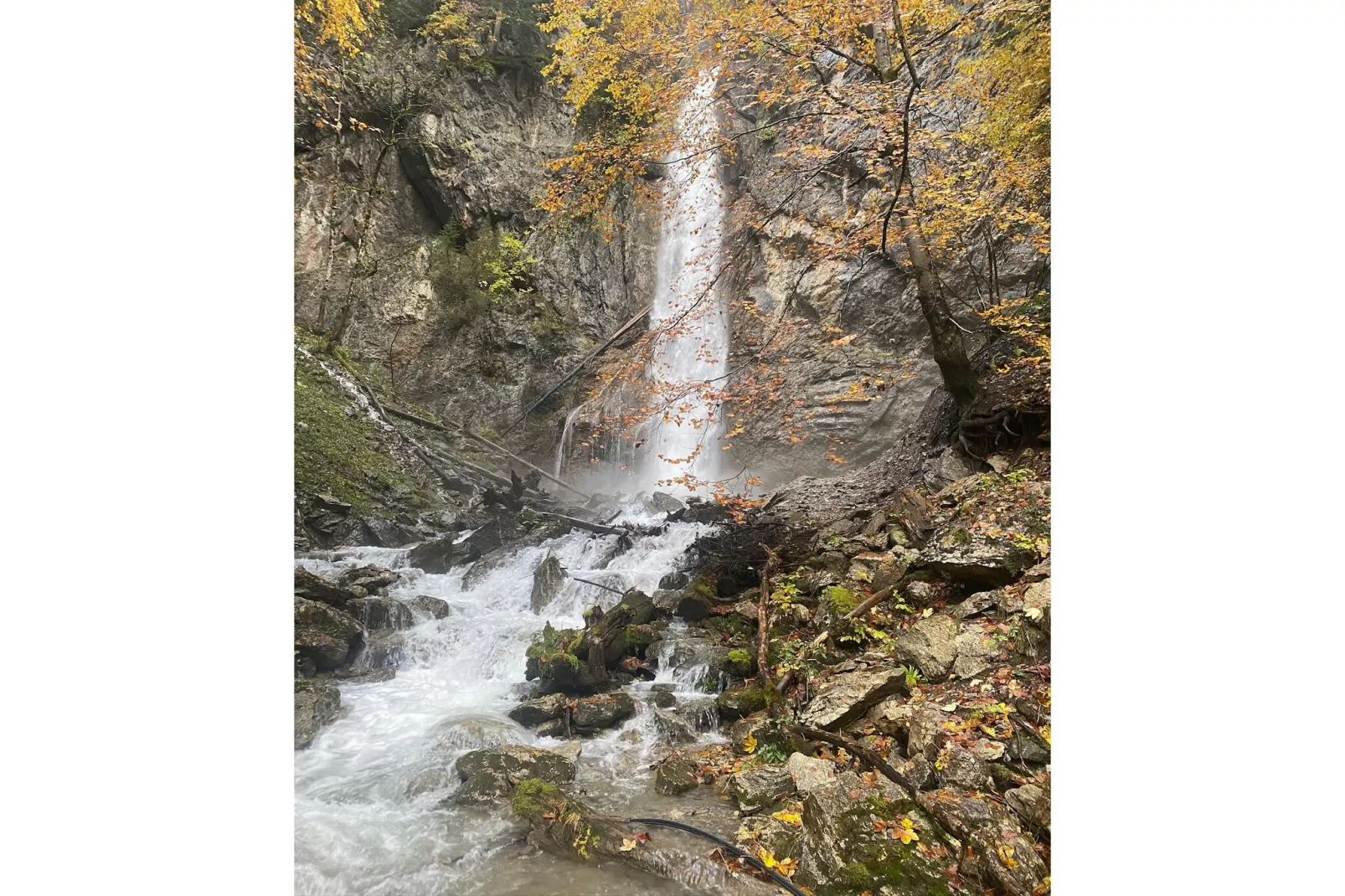 Les Sorbiers-Areas within 5km in summer