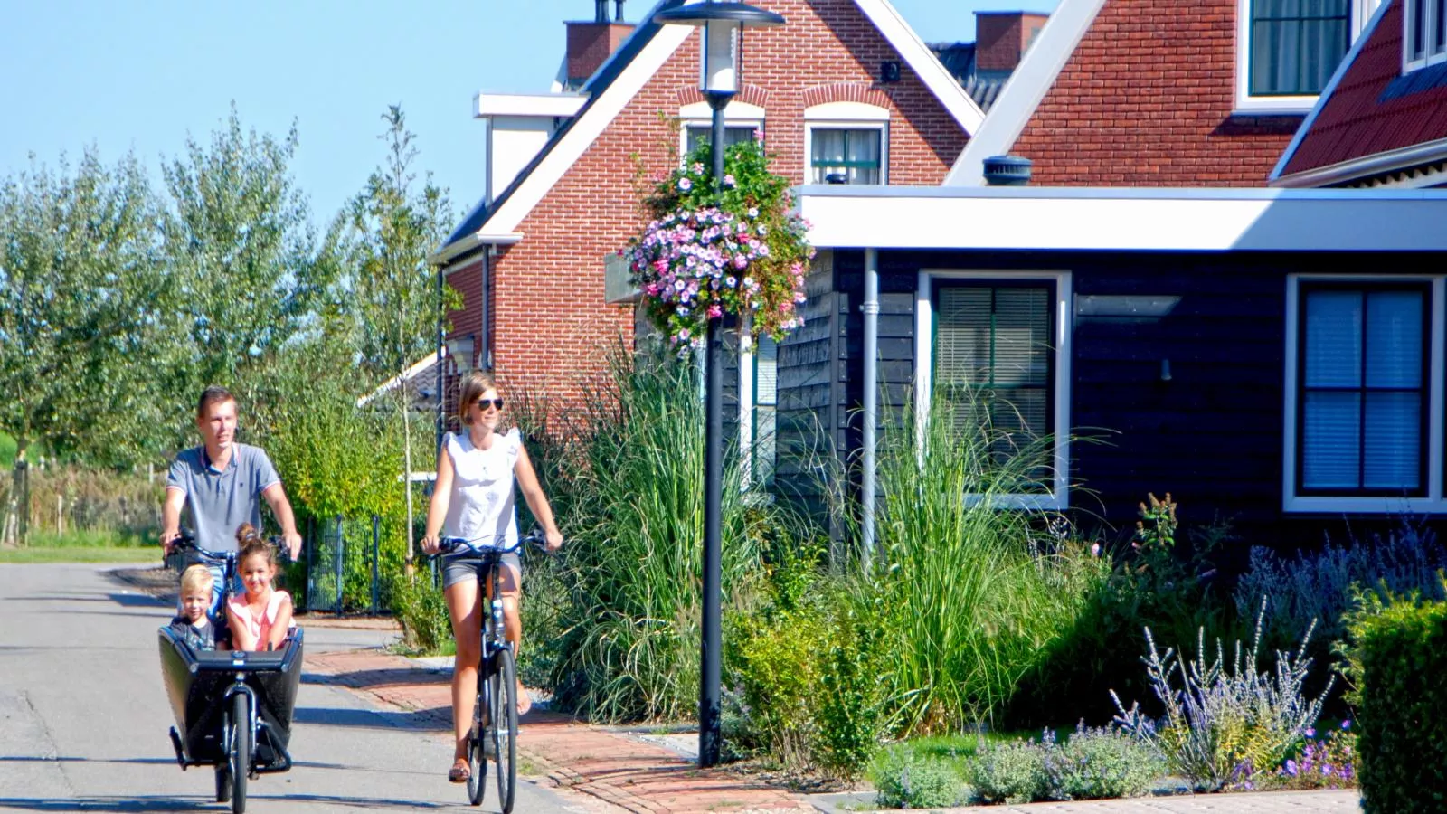 Dune Design 39-Areas within 1km in summer